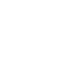 wallet icon